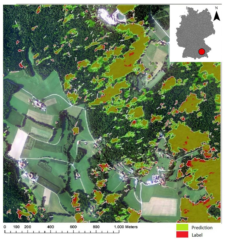 Erkennung von Waldschäden mit Fernerkundung und KI. (© FHWS / Brandmeier)