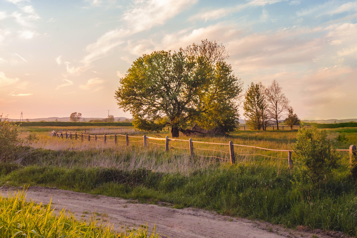 Foto von Tomasz Filipek auf Unsplash