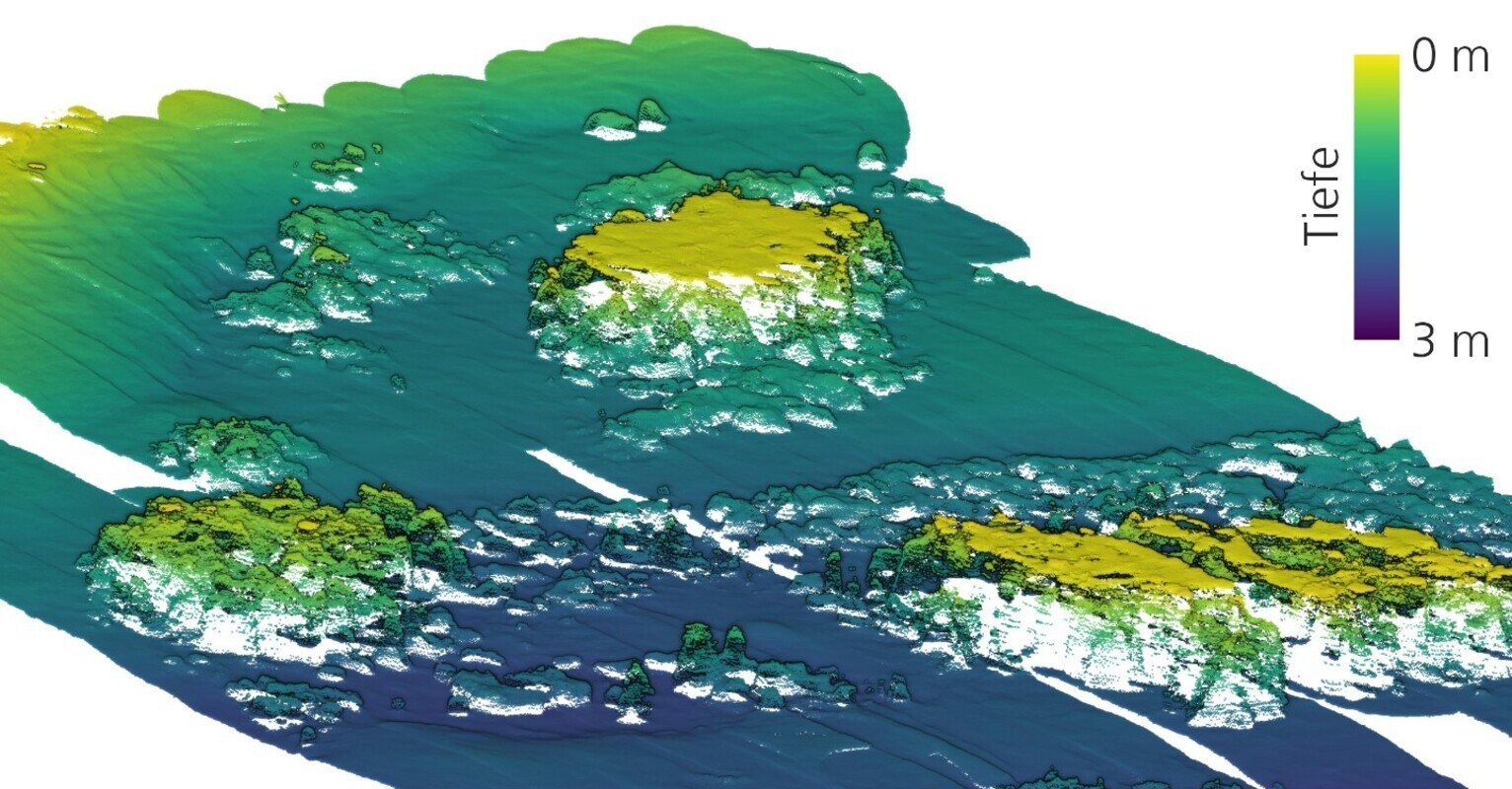 Bild: © Fraunhofer IPM.