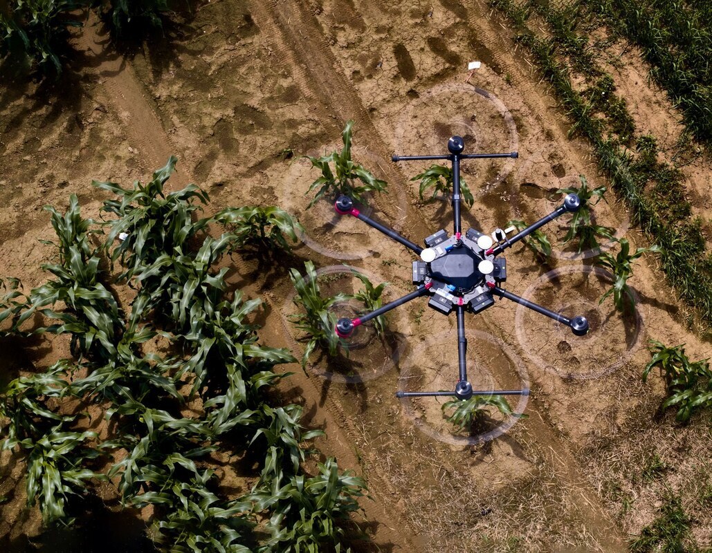 Anhand von Drohnenfotos - oder anderen Bildern aus frühen Wachstumsstadien kann die Software die zukünftige Entwicklung der Pflanzen visualisieren. © Foto: Volker Lannert/Uni Bonn